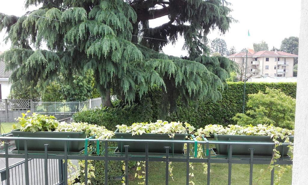 Affittacamere Giudici Lentate sul Seveso ภายนอก รูปภาพ